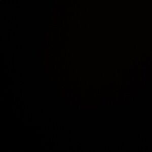 Meet your Posher, Allie